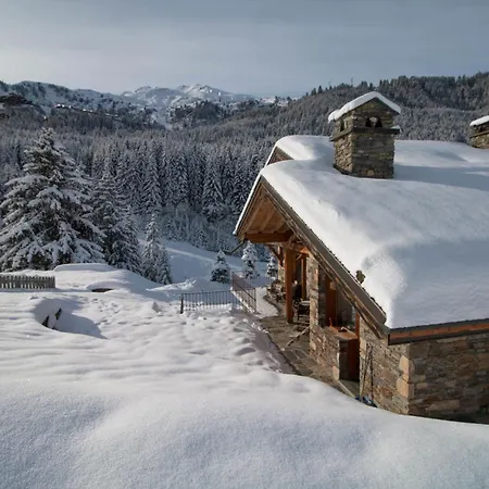 Le Cairn - Unique Ski-in Ski-out Location! * Meribel